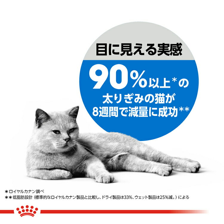 《最大400円OFFクーポン!くらしにプラス》...の紹介画像3