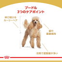 ロイヤルカナン 犬 BHN プードル 成犬用 7.5kg ≪正規品≫ 送料無料 生後10ヵ月齢以上 アダルト 犬 フード ドライ プレミアムフード ROYAL CANIN 楽天 [3182550716932]【D】▼【rcdb13】 2