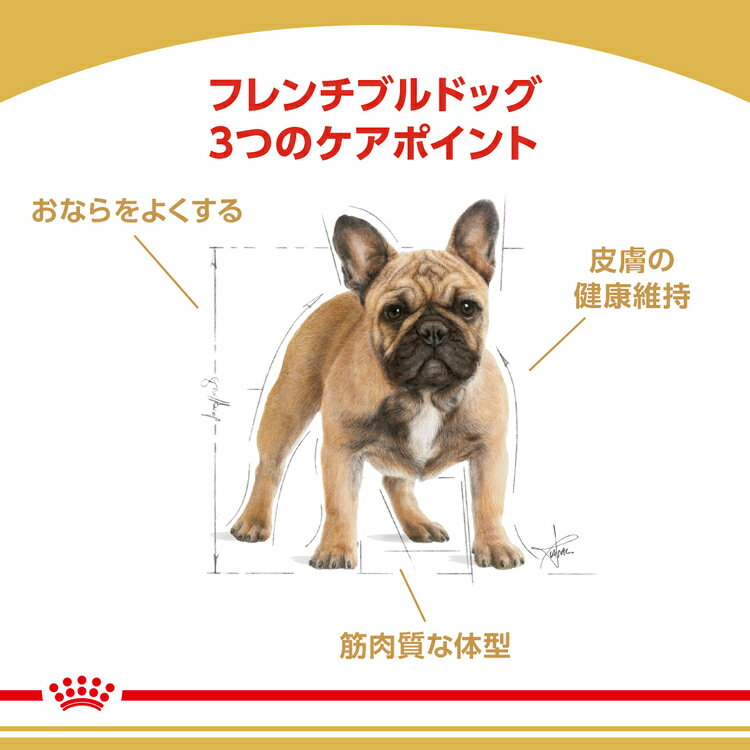 ロイヤルカナン 犬 BHN フレンチブルドッグ 成犬～高齢犬用 3kg×2個セット ≪正規品≫ 生後12ヵ月齢以上 アダルト シニア 犬 フード ドライ ドッグフード プレミアムフード 楽天 [3182550811637]【D】【rcdb17】 2