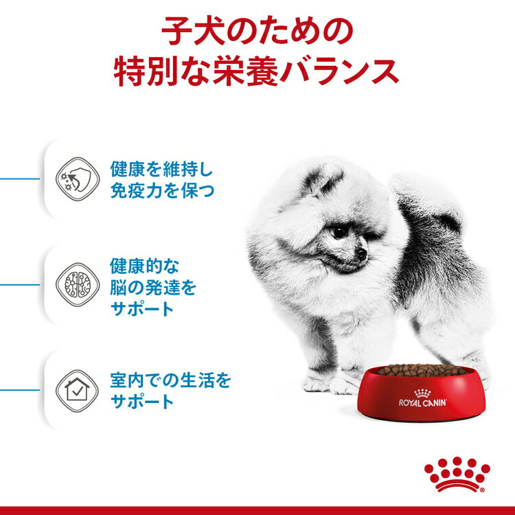 ロイヤルカナン 犬 LHNインドア ライフ ジュニア 2kg×2個セット ≪正規品≫ 室内 インドア ミニインドア 小型犬 犬 フード ドッグフード ドライ プレミアムフード 子犬 パピー 仔犬 ROYAL CANIN [3182550849609]【D】 3