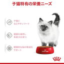 ロイヤルカナン 猫 猫用 フード 猫用フード 正規品 FHN キトン ウェット 85g グレービー ゼリー ローフ 単品 生後12ヶ月齢までの子猫用 キャットフード ウェットフード パウチ プレミアム ROYAL CANIN FHN-WET 栄養バランス[9003579308943]【D】rccf17 3