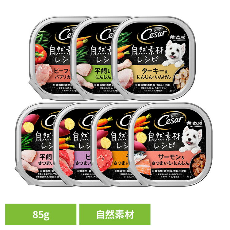 Cesar  ɥåա åȥա Ǻ쥷 ȥ쥤 ӡ//// 85g CEM1 CP...