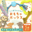 犬 プレゼント ハッピーバッグ 誕生日 おもちゃボックス おもちゃ 小型犬 中身が見える福袋 ドッグトイ ロープ デンタルケア フープ おもちゃセット ゴム製お...