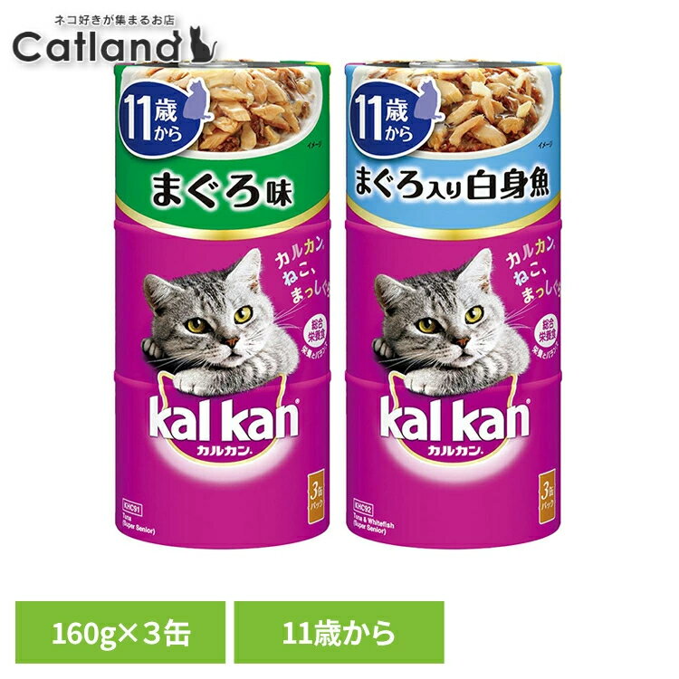 [店内全品P2倍★24日20時〜4...