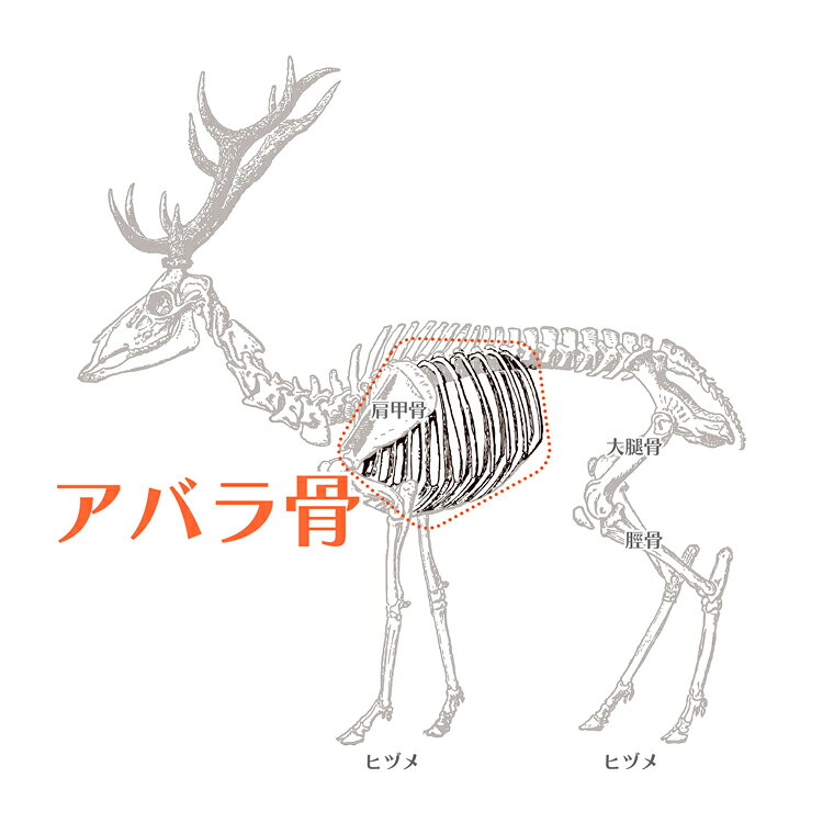 【最大400円クーポン】エゾシカ アバラ骨 ロング 150g 犬おやつ 鹿 骨 ペット用お...