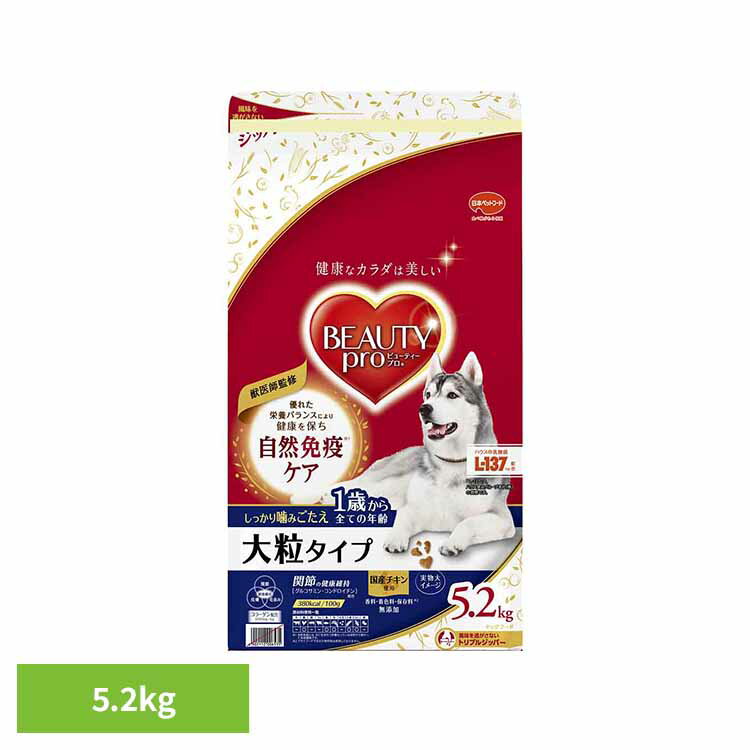 Natural - ドッグフード ビューティープロ ドッグ 大粒タイプ 1歳から ドライフード 成犬用 シニア 対応 総合栄養食 5.2kg 獣医師監修 着色料 香料 無添加 免疫力維持 健康維持 ペットフード 犬 ご飯 チキン 日本ペットフード *