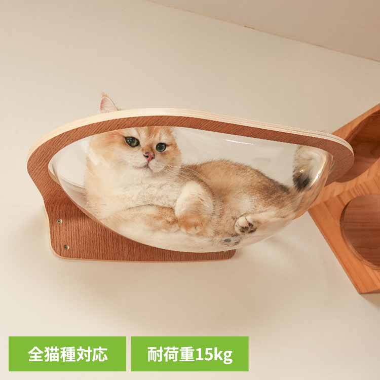 AURA星河キャットベッド MZ0004キャットウォーク キャットステップ 猫用品 ペット用品 猫家具 猫ベッド 壁掛け ペット共生 猫部屋 透明 長彩株式会社 【B】