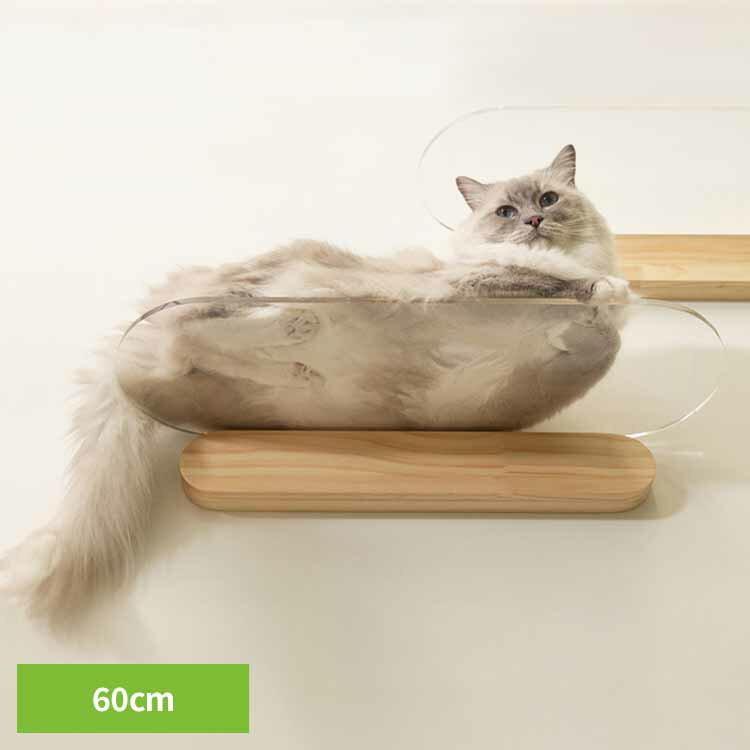 乐天商城 - OBLONG/M60cm MZ0037キャットウォーク キャットステップ 猫用品 ペット用品 猫家具 猫ベッド 壁掛け ペット共生 スケルトン 透明ステップ 長彩株式会社 【B】