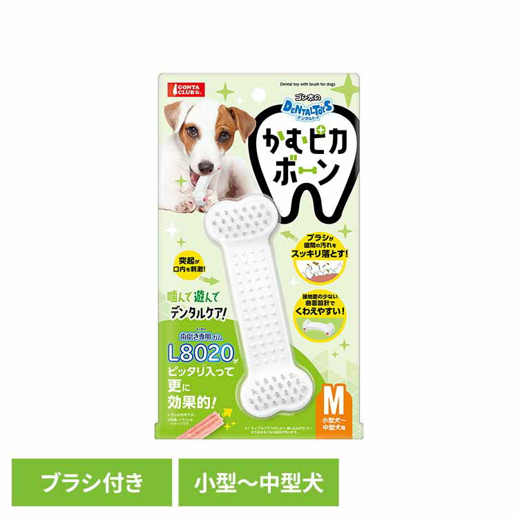 乐天商城 - ゴン太のデンタルトイ かむピカボーンM DA-592犬 ペット 小型犬 中型犬 デンタル 歯みがき ガム おもちゃ 玩具 オーラル GONTA CLUB