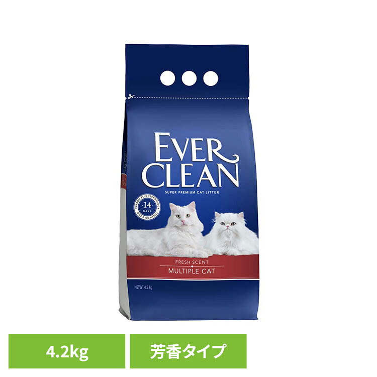 多頭飼い用猫砂（芳香タイプ）4.2kg 猫砂 消臭 ベントナイト 固まる 活性炭 吸収力 トイレ 袋タイプ 多頭飼い 芳香 エバークリーン