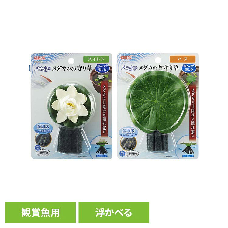 メダカ鉢などに浮かべて楽しむ、本物みたいな浮き草。●商品サイズ（cm）幅約13.5×奥行約4.5×高さ約18●商品重量約0.026kg●材質EVA発泡体、ポリエステル、アクリル●使用方法ご使用の前に、軽く水洗いし、飼育容器に浮かべてご使用ください。●使用上の注意葉の部分をむやみに引っ張るとちぎれますので、取扱いは丁寧に行ってください。製品にヌメリがついたり、汚れたりした場合は、フロート部分とスポンジ部分を取り外して、流水で軽くもみ洗いをしてください。この時、薬品や洗剤は使用しないでください。メチレンブルーなど色素を含んだ薬品などを使用すると、製品に色が付いて取れなくなることがあります。（検索用：観賞魚 観賞魚用品 観賞魚用産卵・飼育ケース・給餌器 4972547042132 4972547042149）最強翌日配送対象商品に関するご案内 最強翌日配送対象商品・対象地域に該当する場合は最強翌日配送マークがご注文カゴ近くに表示されます。 最強翌日配送可能なお支払方法は【クレジットカード、代金引換、全額ポイント支払い】のみとなります。 下記の場合は最強翌日配送対象外となります。 ・15点以上ご購入いただいた場合 ・時間指定がある場合 ・ご注文時備考欄にご記入がある場合 ・決済処理にお時間を頂戴する場合 ・郵便番号や住所に誤りがある場合 ・最強翌日配送対象外の商品とご一緒にご注文いただいた場合 ・お届け先住所文字数が40文字以上の場合【置き配規約について】