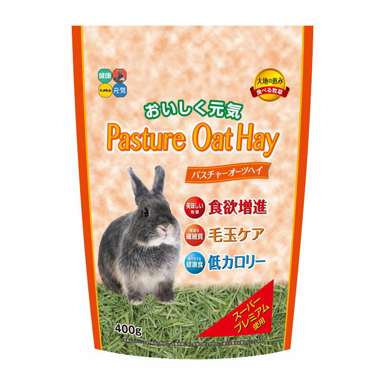 Other - [店内ほぼ全品ポイントUP★ ※15日20時〜6H限定]チモシー うさぎ 牧草 ウサギ パスチャーオーツヘイ 400g パスチャー フード 小動物