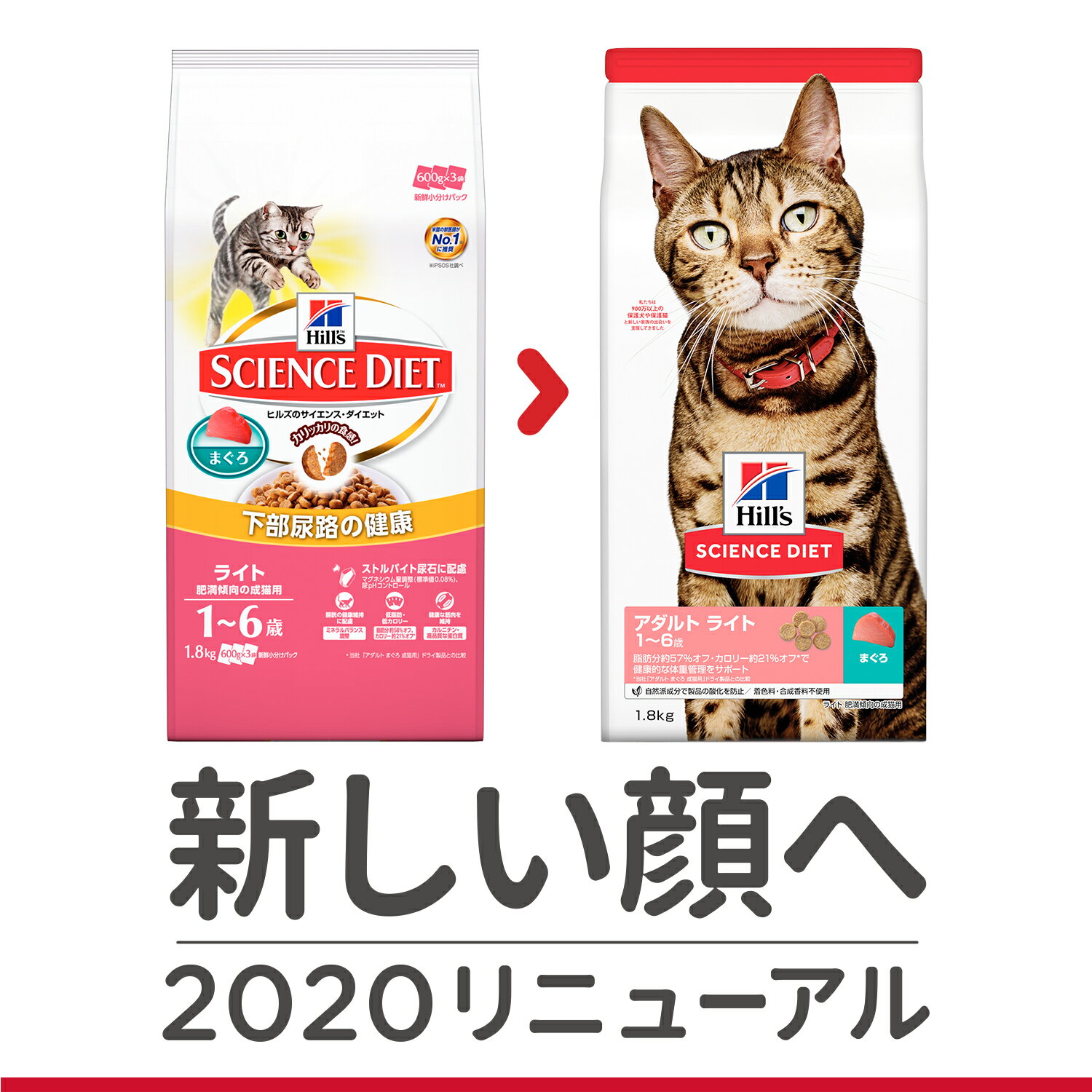 [最安値に挑戦中！]ヒルズ サイエンスダイエット 猫 ライト 肥満傾向の成猫用(1?6歳)まぐろ 1.8kg[TP] キャットランド【TC】[2206SC]