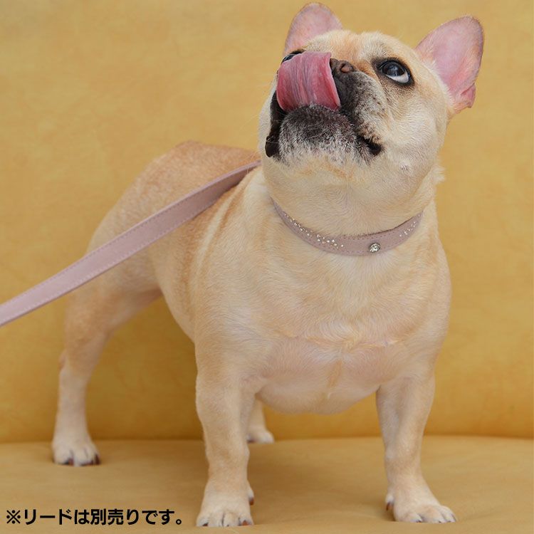 Leda swarovski crystals collar（リーダスワロフスキークリスタルズカラー） 4号 ...