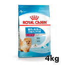 楽天キャットランド《最大400円OFFクーポン！くらしにプラス》ロイヤルカナン 犬 ミニ インドア パピー 4kg ≪正規品≫ 室内 インドア ミニインドア 小型犬 犬 フード ドッグフード ドライ プレミアムフード 子犬 パピー 仔犬 ROYAL CANIN [3182550849593]【D】