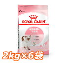 【1袋あたり3,045円！2kg×6袋セット】ロイヤルカナン 猫 キトン 2kg×6袋セット 正規品猫用 キャットフード ドライ キトン 子猫用 生後4ヵ月齢以上 12ヵ月齢まで 仔猫 幼猫 小猫 プレミアムフード ROYALCANIN 【D】 3182550702423 【rccf11】