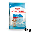 CJi  SHN ~fBA WjA 4kg ᐳKi ^ (11`25kg) 2`12 q e  t[h hC v~At[h hbOt[h ROYAL CANIN yV [3182550708180]yDzyrcdb46z