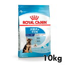 ső400~OFFN[|I炵ɃvXtCJi  SHN }LV WjA 10kg ᐳKi  ^ (26kgȏ) 15܂ e q  t[h hC v~At[h hbOt[h ROYAL CANIN [3182550778305]yDzyrcdb41z