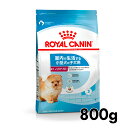 楽天キャットランド《最大400円OFFクーポン！くらしにプラス》ロイヤルカナン 犬 LHN インドア ライフ ジュニア 800g ≪正規品≫ 室内 インドア ミニインドア 小型犬 犬 フード ドッグフード ドライ プレミアムフード 子犬 パピー 仔犬 ROYAL CANIN [3182550849364]【D】【rcdb53】