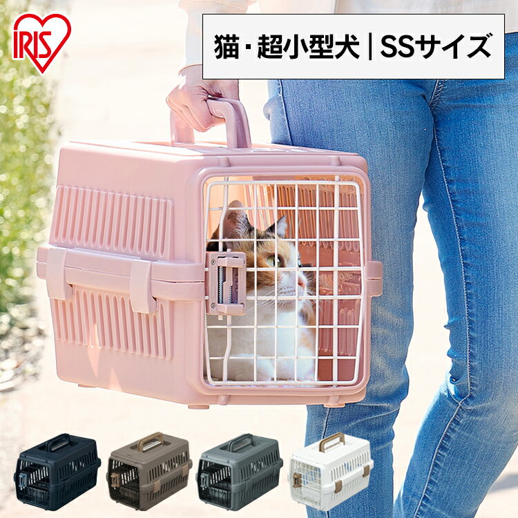 【目玉価格＆P10倍！16日9:59迄】猫 