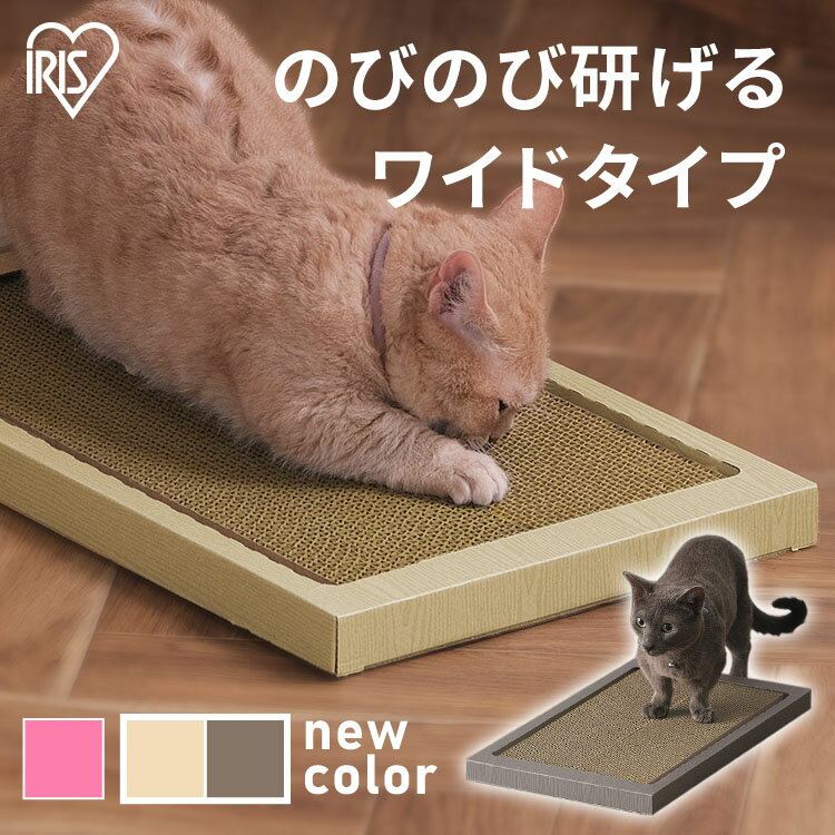 【6個セット】 両面使えるつめみがき おまとめセット 爪みがき つめみがき 猫 ネコ ねこ キャット cat ニャンちゃん