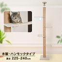 【店内ほぼP5倍★30日4h限定】【新商品】キャットタワー キャットハウス つっぱり式 突張式アスレチックタワー ハンモック 1011106003爪とぎ 多頭飼い 省スペース ハンモック付き アクリルボール 猫ハウス 木製 【D】