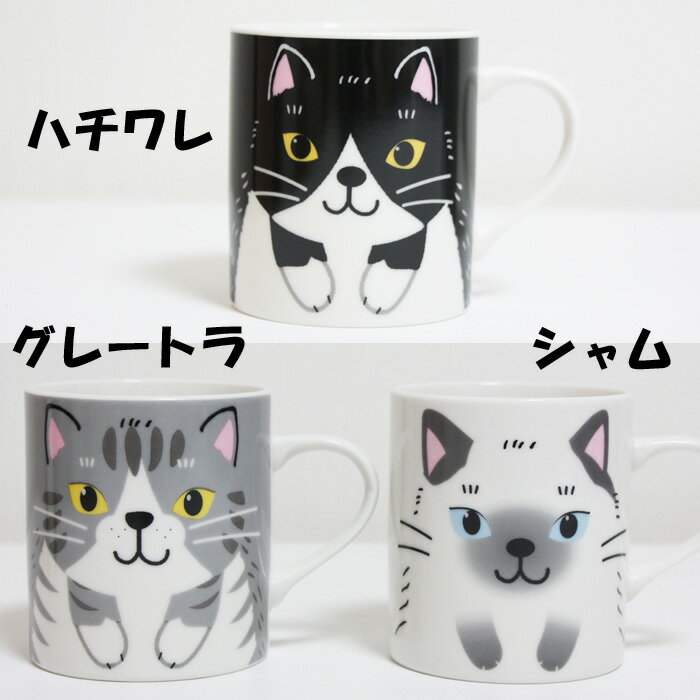 アニマルマグ（のあぷらす）