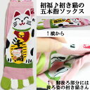 ネコ柄5本指靴下(千万両招き猫)/ レディースソックス 22〜25cm 五本指 猫 ねこ