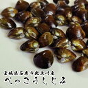 【送料無料】宮城県 石巻市 北上川産 べっこうしじみ 冷凍 1袋200g 砂抜き済み しじみ しじみ汁 味噌汁
