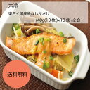 【送料無料】【業務用】【大容量】大冷 楽らく国産骨なし秋さけ (40g(10枚)×10袋×2合)