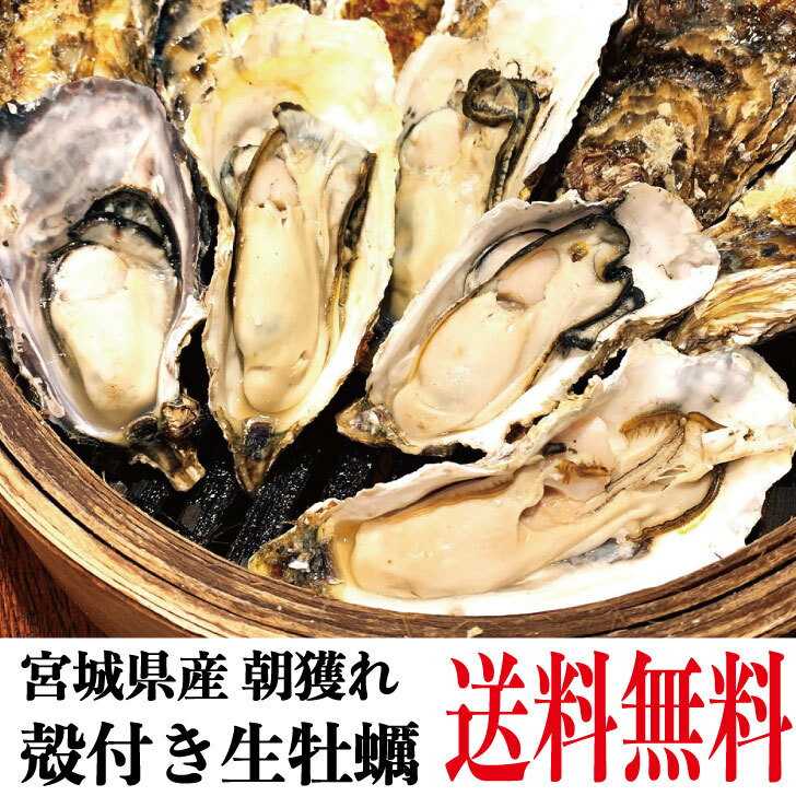 牡蠣　訳あり　送料無料　宮城産　殻付き牡蠣　6kg　生食