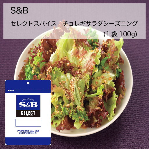 【業務用】S&B セレクトスパイス チョレギサラダシーズニング(1袋(100g)) 【業務用】S&B セレクトスパイス チョレギサラダシーズニング(1袋(100g))