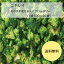 【送料無料】【業務用】【大容量】ニチレイ　そのまま使えるミニブロッコリー(中国産)(1袋(500g)×20袋)