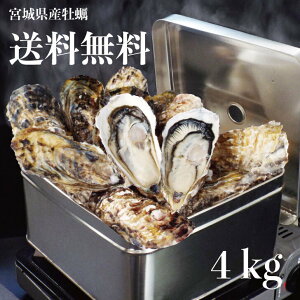 牡蠣　訳あり　送料無料　宮城産　殻付き牡蠣　4kg　生食