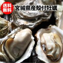 牡蠣 殻付き牡蠣 宮城県産 送料無料