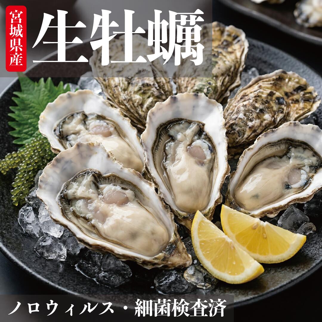 生牡蠣 殻付き牡蠣 牡蠣 カキ 生食用 宮城県産 三陸 送料無料 ノロウィルス 細菌検査済