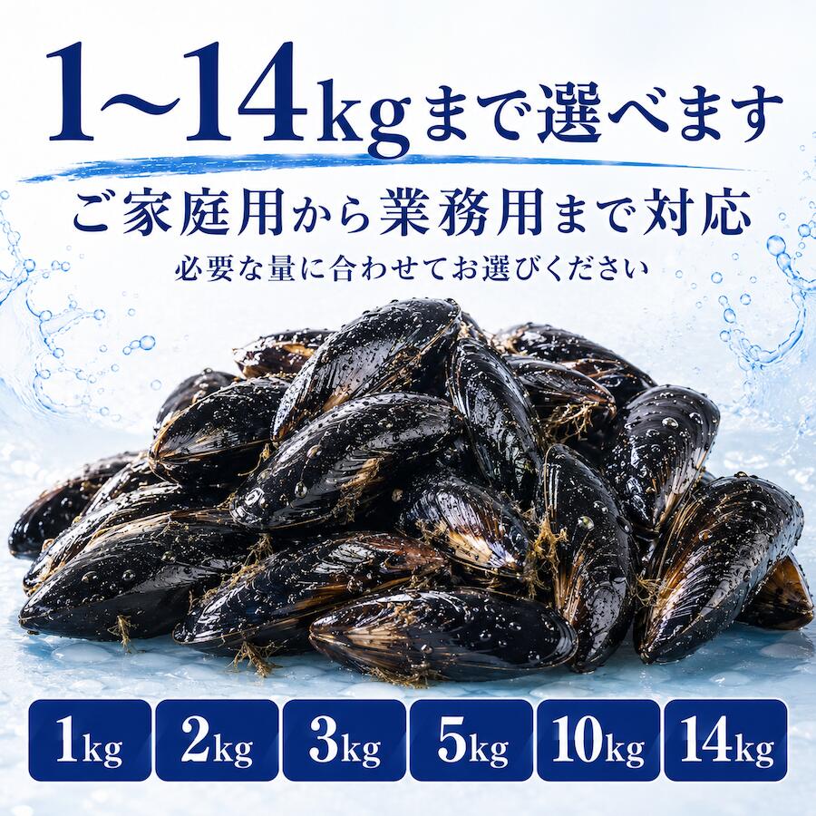 女川産 活ムール貝 1kg 1kgあたり約20個前後 40〜80g 三陸 宮城県産 海水入り 足糸付き 冷蔵 クール便 産地直送 貝 海鮮 魚介 パエリア 酒蒸し アクアパッツァ ブイヤベース 業務用 家庭用 お取り寄せ グルメ BBQ バーベキュー向け