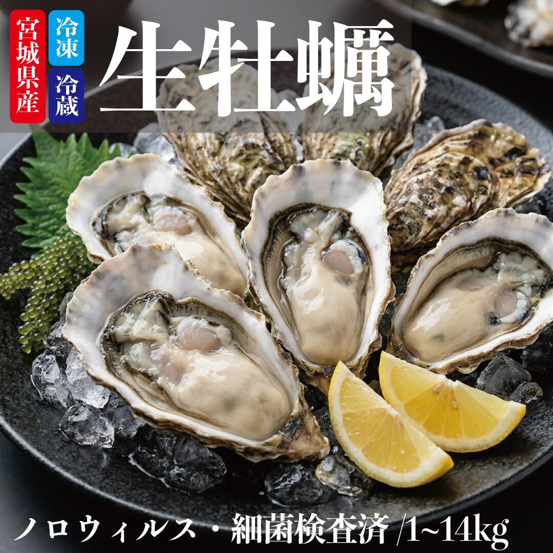 生牡蠣 殻付き牡蠣 牡蠣 カキ 生食用 宮城県産 三陸 送料無料 BBQ お取り寄せ 海鮮 ギフト産地直送
