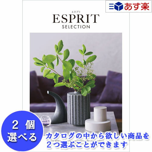 【 あす楽 土日・祝日対応 】特選ブランドカタログ ハーモニック カタログギフト ｢ エスプリ ( ESPRIT )｣ ビビッド 2品選べるダブルチョイス 41600円コース 人気 ギフト 結婚祝 出産祝 新築祝 結婚内祝 出産内祝 新築内祝 香典返し 記念品 歳祝