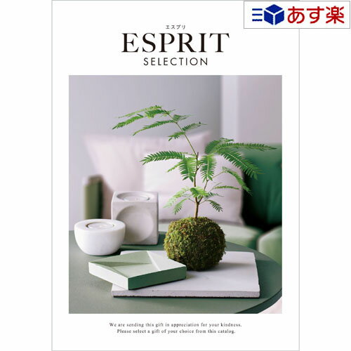 ESPRIT～エスプリ 【 あす楽 土日・祝日対応 】特選ブランドカタログ ハーモニック カタログギフト ｢ エスプリ ( ESPRIT )｣ エレガンス 4800円コース 人気 ギフト 御祝 結婚祝 出産祝 新築祝 結婚内祝 出産内祝 新築内祝 各種内祝 快気祝 香典返し 景品 記念品 歳祝