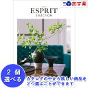 【 あす楽 土日・祝日対応 】特選ブランドカタログ ハーモニック カタログギフト ｢ エスプリ ( ESPRIT )｣ ジューシー 2品選べるダブルチョイス 101600円コース 人気 ギフト 結婚祝 出産祝 新築祝 結婚内祝 出産内祝 新築内祝 香典返し 記念品