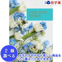 楽天カタログギフト専門店　カタログ屋【 あす楽 土日・祝日対応 】洋・ブライダルカタログ ハーモニック カタログギフト ｢ テイクユアチョイス （ TAKE YOUR CHOICE ）｣ フリージア 2品選べるダブルチョイス 5600円コース 人気 ギフト ブライダル 御祝 結婚祝 結婚内祝 各種内祝