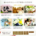 【 あす楽 土日・祝日対応 】どんな用途でも利用できるカタログ ハーモニック カタログギフト ｢ ファインチョイス ( FINE CHOICE )｣ 2品選べるダブルチョイス パール 17600円コース 人気 ギフト 御祝 結婚内祝 出産内祝 各種内祝 景品 3