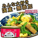 24缶 わしたポーク JAPAN 備蓄 非常食 食料 食料品 缶詰 備蓄用 缶詰め 詰め合わせ 楽天1位 国産 無添加 無塩せき 送料無料 防災 長期保存 ランチョンミート 発色剤 不使用
