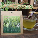 マラソン 限定 全品 ポイント 10倍 桑の葉 桑 くわ 糖 糖質 沖縄産 国産 ダイエット マルベリー 桑葉 ノンカフェイン カフェインレス 青汁 お茶 無農薬 糖の気になる方 血糖値 シマ桑 ミネラル 沖縄 無添加 手作り カタリストショップ