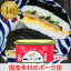 72缶 わしたポーク JAPAN 備蓄 非常食 食料 缶詰 備蓄用 缶詰め 詰め合わせ まとめ買い 国産 無添加 無塩せき 送料無料 防災 長期保存 ポーク ランチョンミート 発色剤 不使用 ポークたまご