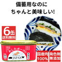 6缶 わしたポーク JAPAN 備蓄 非常食 食料 缶詰 備蓄用 缶詰め 詰め合わせ まとめ買い 国産 無添加 無塩せき 送料無料 防災 長期保存 ポーク ラン...