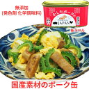 【全国 北海道 送料無料】わしたポーク JAPAN 36缶 防災 長期保存 備蓄 備蓄用 缶詰 無塩せき 国産 沖縄 ランチョンミート ポーク 化学調味料 発色剤 ポークたまご まとめ買い 保存食 業務用 沖縄特産品 スパム