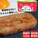 超ポイントバック祭限定 最大 20倍 ポイント 還元 48缶 わしたポーク JAPAN 備蓄 非常食 食料 缶詰 備蓄用 缶詰め 詰め合わせ まとめ買い 国産 無添加 無塩せき 送料無料 防災 長期保存 ポーク ランチョンミート 発色剤 不使用