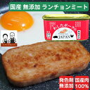 108缶 わしたポーク JAPAN 備蓄 非常食 食料 缶詰 備蓄用 缶詰め 詰め合わせ まとめ買い 国産 無添加 無塩せき 送 防災 長期保存 ポーク ランチョンミート 発色剤 不使用 ポークたまご